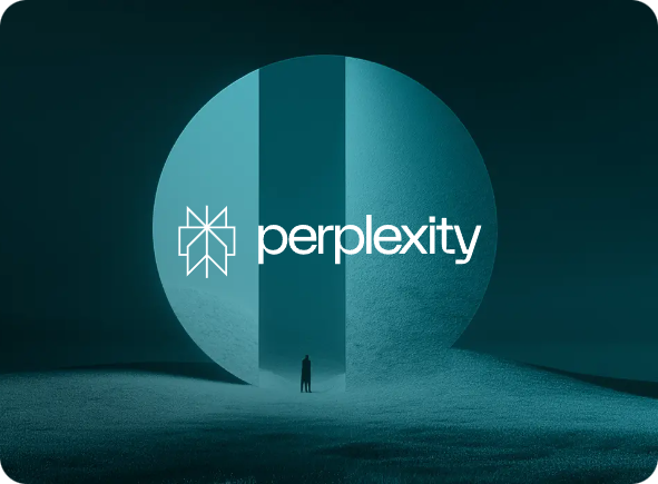 Perplexity